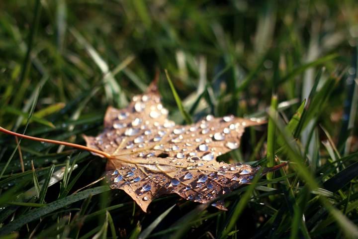10 things you can do to help your Golf in bad weather