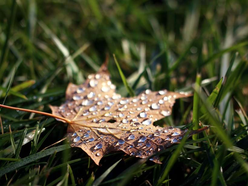 10 things you can do to help your Golf in bad weather