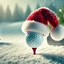 Christmas 2024 golf vouchers